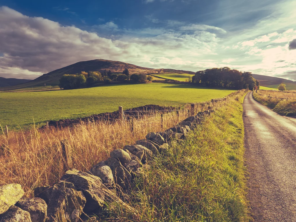 Irland - Wicklow Way - 8 Tage