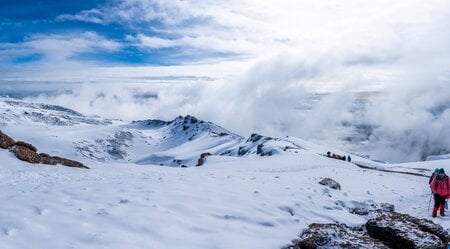 Kilimanjaro - Northern Circuit