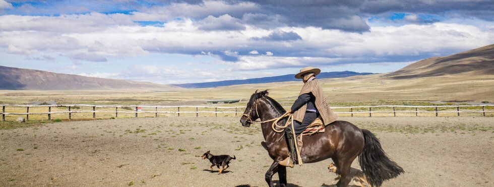 Gaucho Argentinien