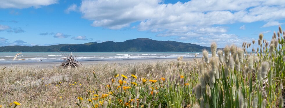 Kapiti Island Neuseeland