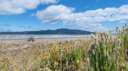 Fjorde, Vulkane und Begegnungen - von Auckland nach Christchurch