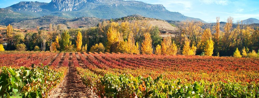 Rioja Alavesa