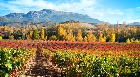 La Rioja - Radeln durch Weinberge