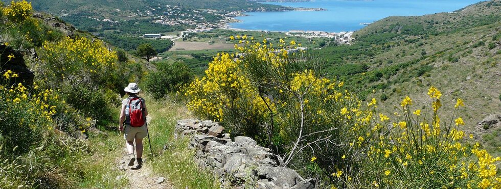 Roses nach Cadaques