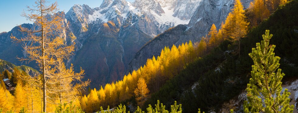 Triglav Nationalpark