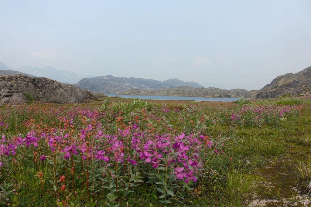 Stampeders Route – Trekking Chilkoot Trail