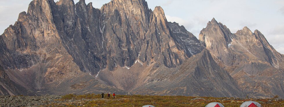 Tombstone Park Trek