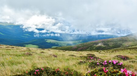 Wanderreise: Karpaten und Siebenbürgen