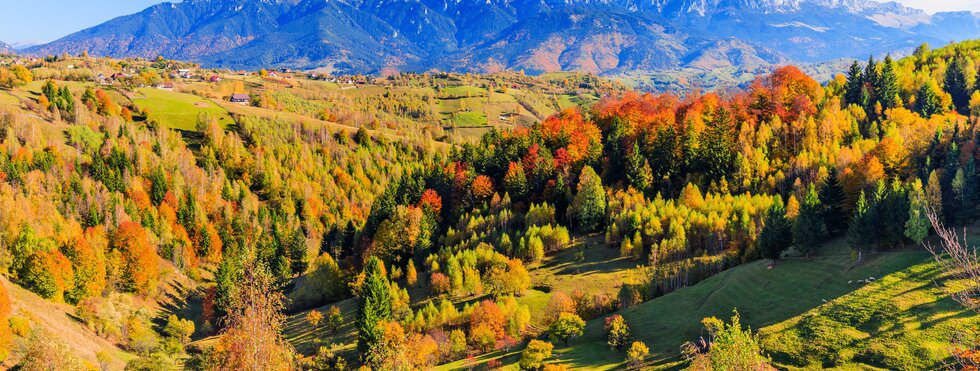 Magura und Bucegi Gebirge