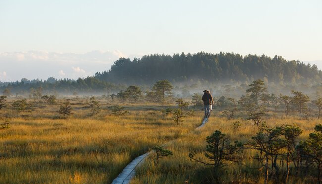 Wandern im Baltikum 