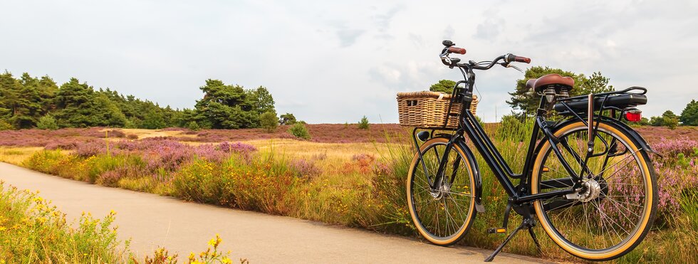 Veluwe Nationalpark