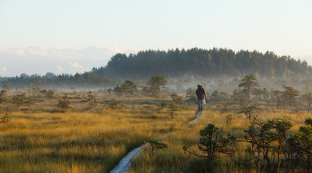 Estnische Nationalparks aktiv erleben