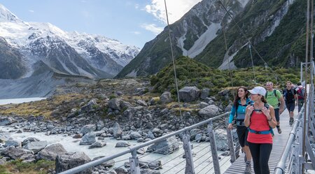 South Island Explorer Kiwi