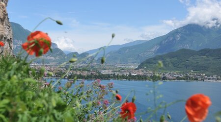 Radreise von INNSBRUCK nach RIVA del GARDA - klassisch