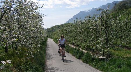 Radreise von INNSBRUCK nach BOZEN - relax