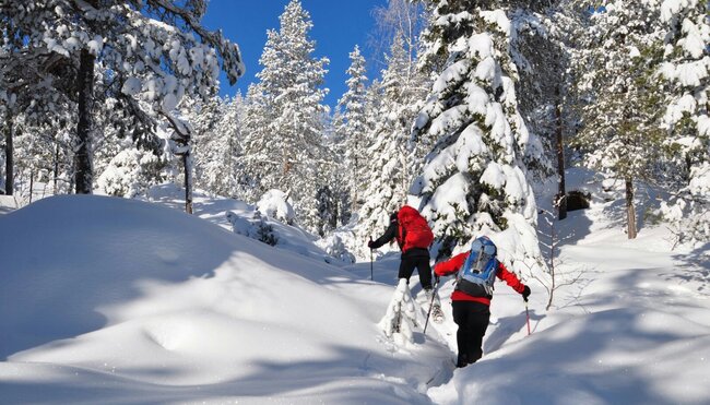 Genusstour Lappland Bergtour 