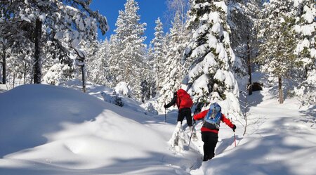 Silvester-Spezial – Genußtour in den Bergen Lapplands