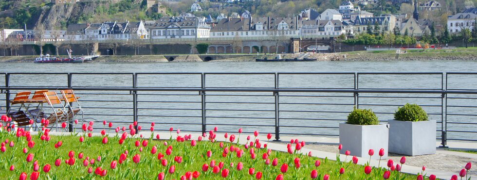 Koblenz und Rhein