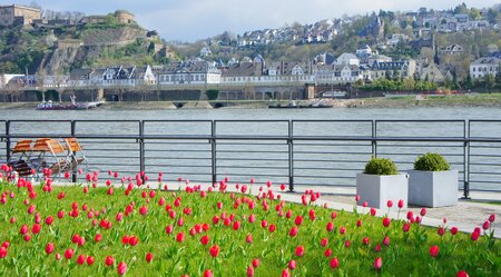 Mosel Radweg Klassiker - Von Trier nach Koblenz 7 Tage