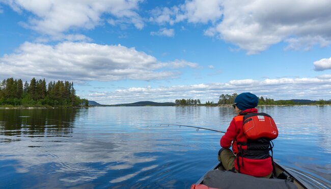 Uddjaur Lappland