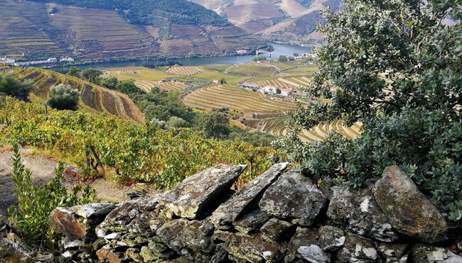 Douro Tal