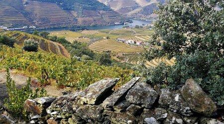 Herz und Seele des Douro-Tals