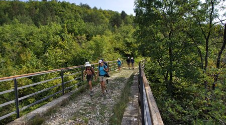 Wanderabenteuer durch das grüne Istrien 5 Tage