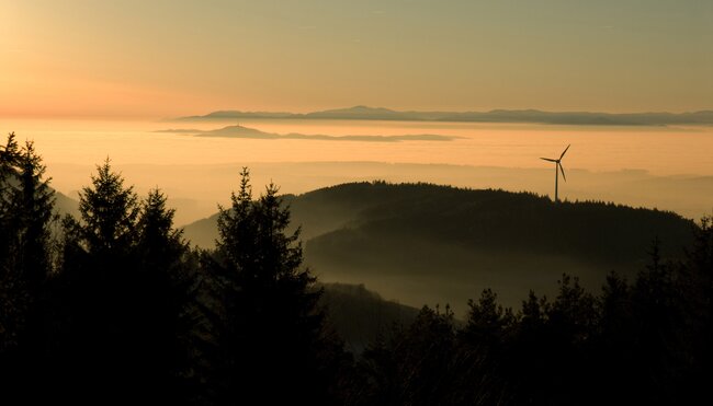 Die schönsten Wanderungen im Schwarzwald - Gipfel, Seen und Schluchten