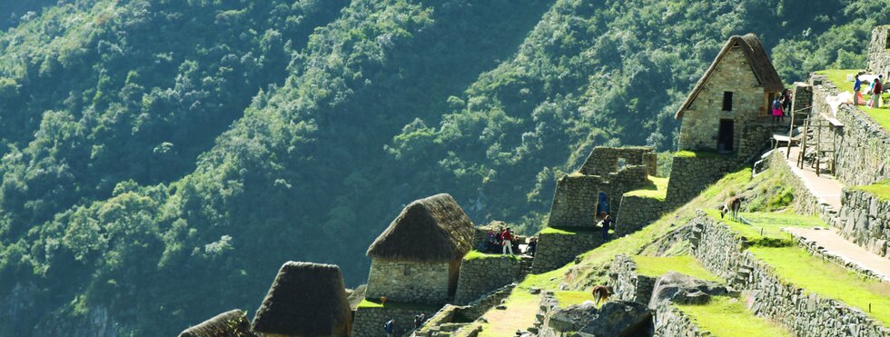 Machu Picchu