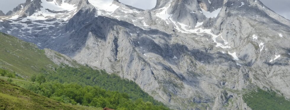 Picos de Europa