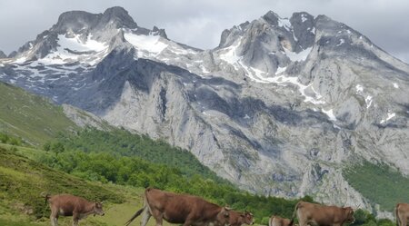 Trekking Picos de Europa - Rundroute des Zentralmassivs