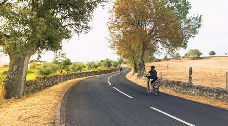 Radreise im Alentejo Weinland