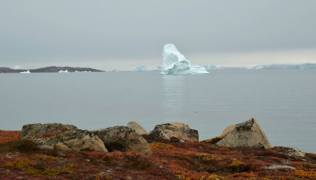 Scoresby Sund