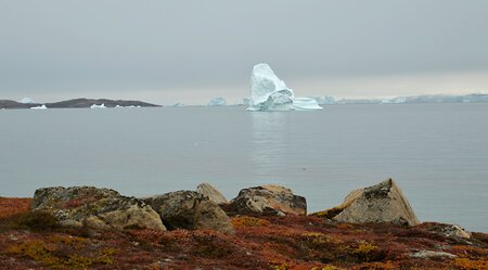 Ostgrönland Scoresby Sund - Basecamp - Kostenloses Kajakfahren, Wandern, Fotoworkshop