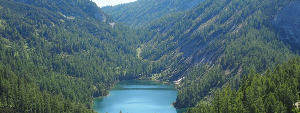 Tauplitzalm Bad Mitterndorf Steirersee