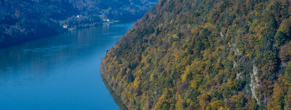 Schlögener Schlinge Donau