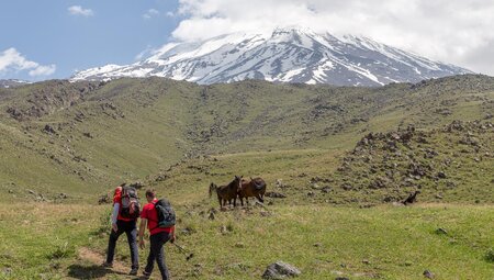 Trekking Ararat