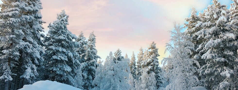 Winterlandschaft Lappland