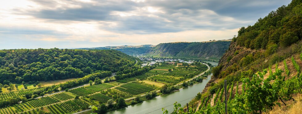 Weinberge Winningen an der Mosel