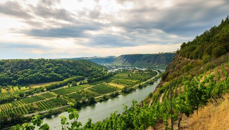 Rad- & Wandertour an der Mosel - Multi-Aktivurlaub von Trier bis Koblenz