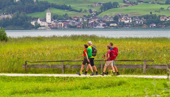 Salzkammergut Wanderer