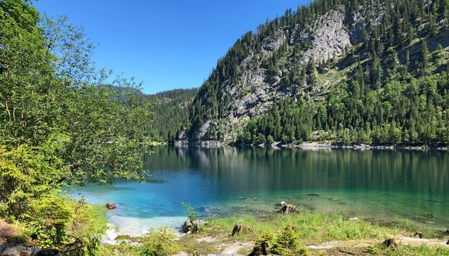 Salzkammergut Gosausee Ufer