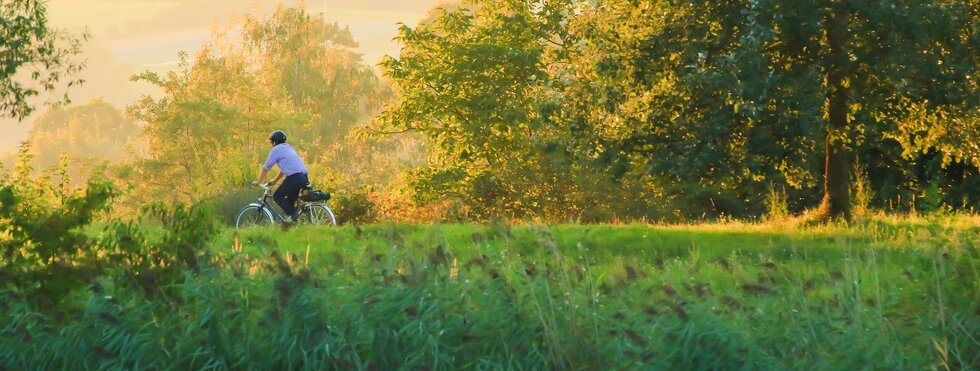 Donauradweg bei Regensburg, Radfahrer im der Natur