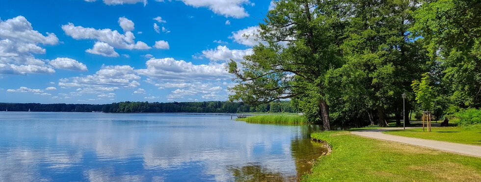 Ufer des Scharmützelsees in Brandenburg