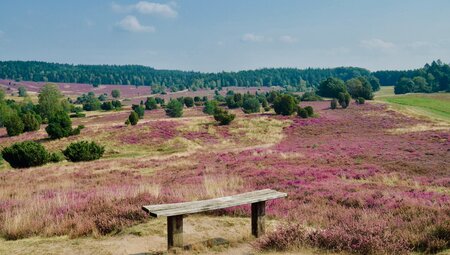 Die Lüneburger Heide Pur - Die Highlights als Kurztour