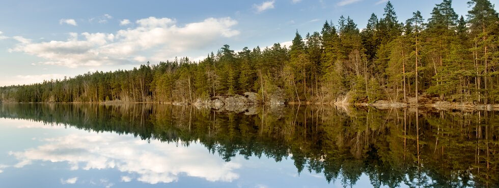 See im Tyresta-Nationalpark bei Stockholm in Schweden