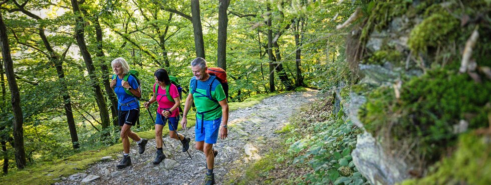 Wanderer auf dem Rheinsteig im Wald