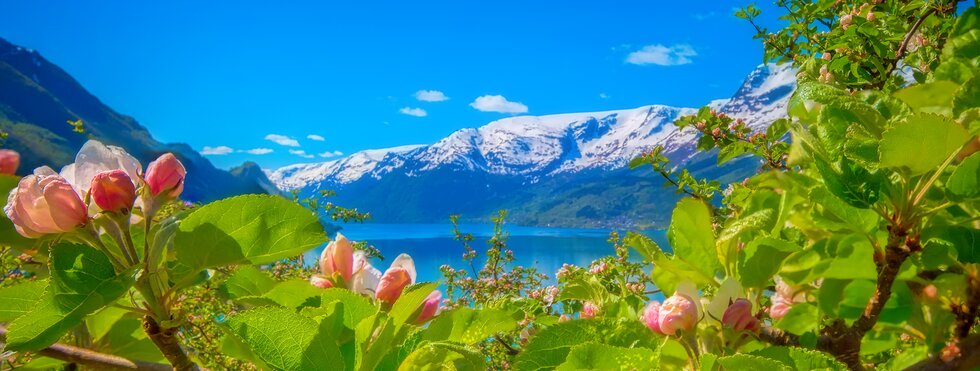 Hardangerfjord in Norwegen