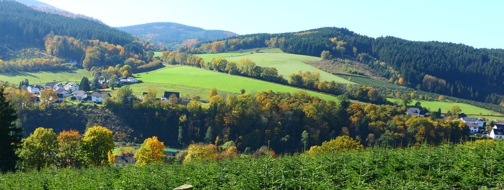 Blick auf Schmallenberg im Sauerland