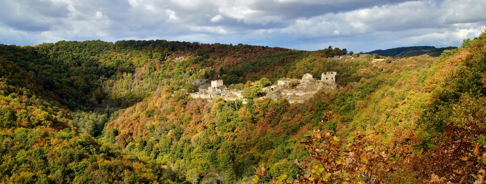 Blick auf die Schmidtburg im Soonwald bei Rudolfhaus